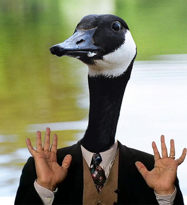 Internet Users Photoshop Birds With Human Arms and the Results Are Too Hilarious