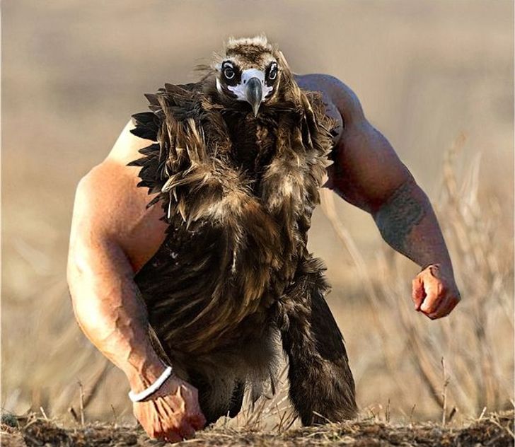 Internet Users Photoshop Birds With Human Arms and the Results Are Too Hilarious