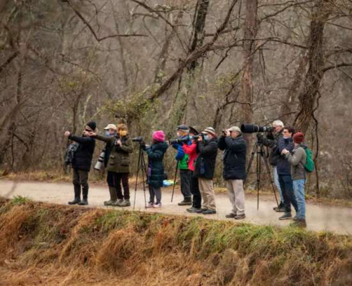 They were watching a male painted bunting, a bird that takes pride on its beautiful rainbow color.