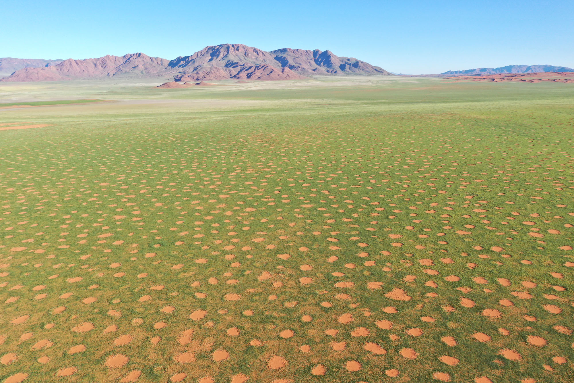 A new clue in the enduring mystery of Namibia's 'fairy circles' - The Washington Post