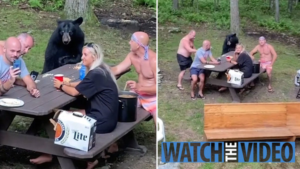 Incredible moment wild black bear casually joins family for picnic of peanut butter sandwiches in Maryland | The Sun